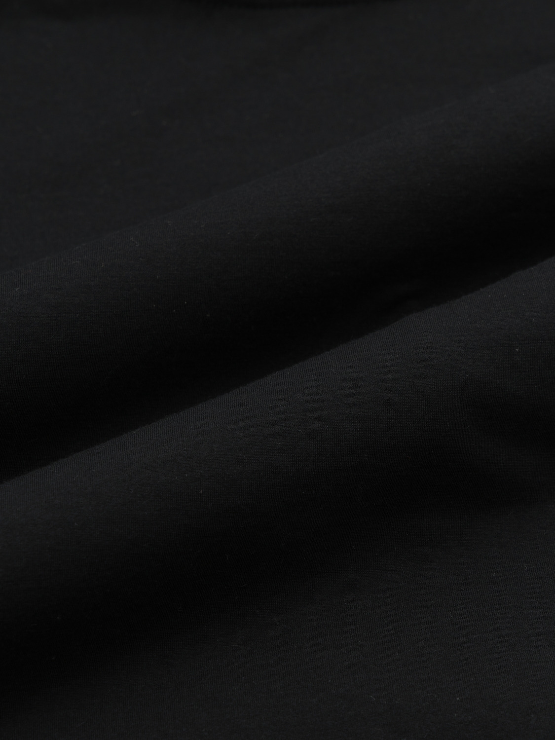 SHEER FITTED L/S HOODIE TOP 詳細画像 Black 4